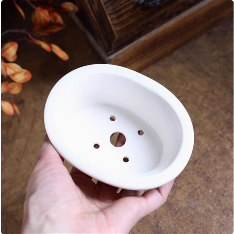 Porselein witte ovale bonsai p - Plant Pot Small Desk recensie en prijs