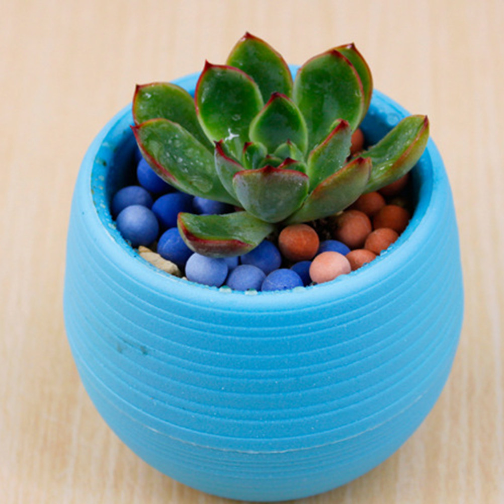 Mini hars succulenten potten r - Plant Pot Small Desk recensie en prijs