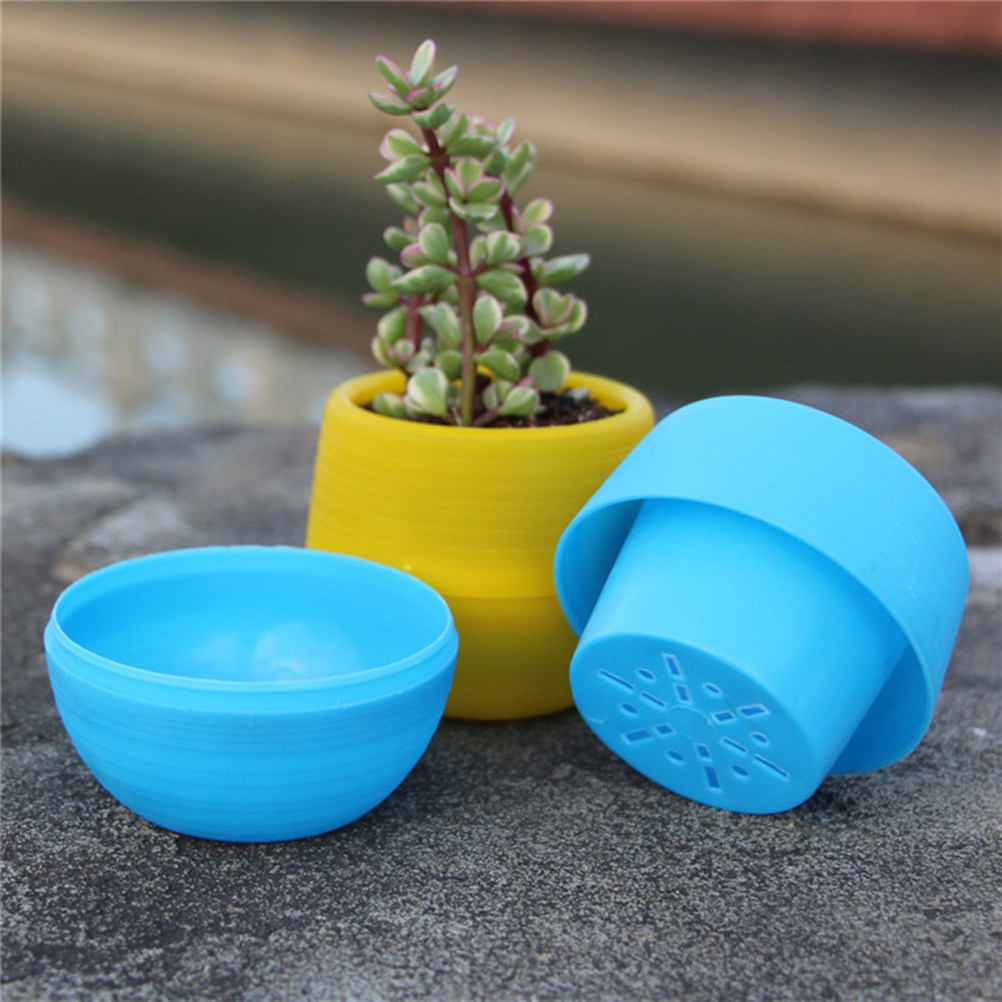 Mini hars succulenten potten r - Plant Pot Small Desk recensie en prijs